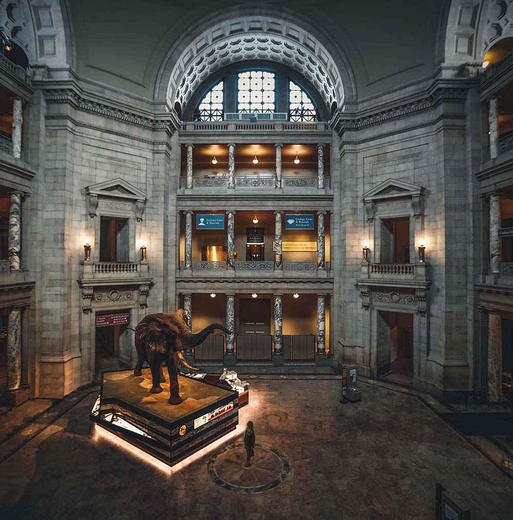 Mamut staged in a large museum hall